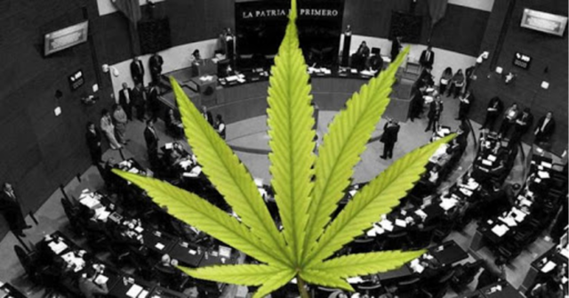 Diputados aplazan hasta 2021 discusión sobre regulación de mariguana