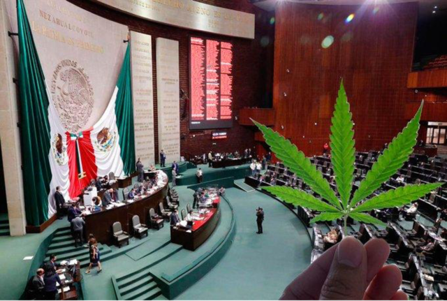 Venta de Cannabis legal hasta el 2022